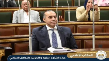 تطوير ملموس.. فوزي يوضح مستهدفات قانون نقابة المهن الرياضية لمواكبة التطور الأكاديمي والمهني